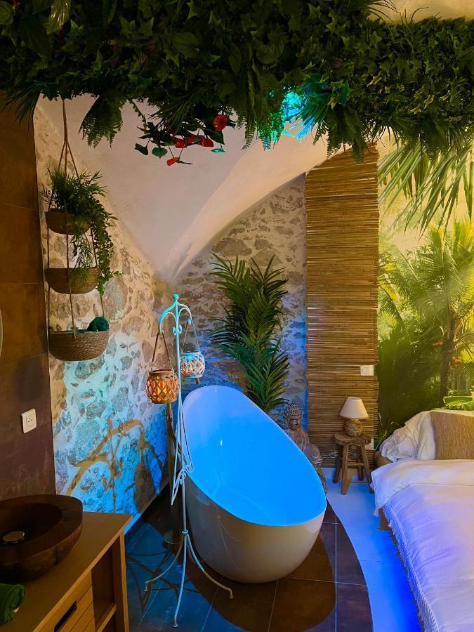 Le Bali Safranier Vieil Appartamento